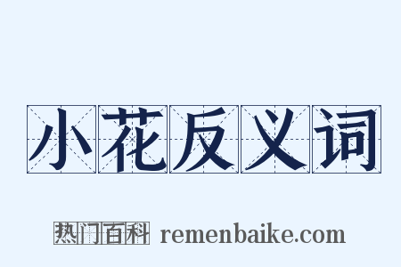 小花反义词是什么意思的图片